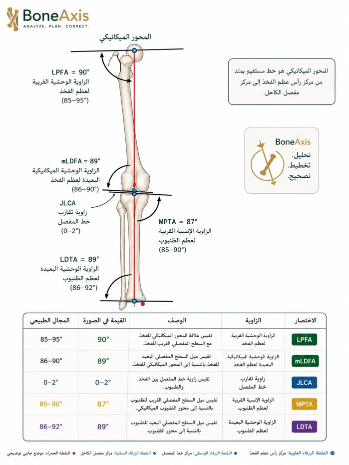 صورة توضيحية للزوايا الطبيعية للمحور الميكانيكي: LPFA و mLDFA و JLCA و MPTA و LDTA
